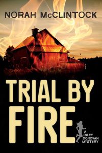 Cover image for Trial by Fire: A Riley Donovan mystery