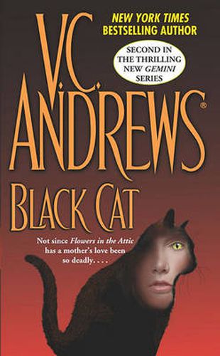 Cover image for Black Cat