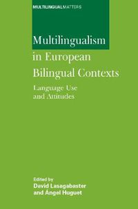 Cover image for Multilingualism in European Bilingual Contexts: Language Use and Attitudes