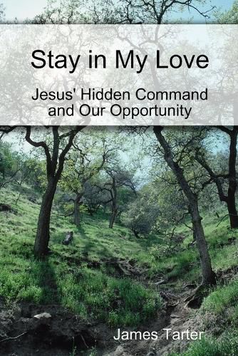 Cover image for Stay in My Love