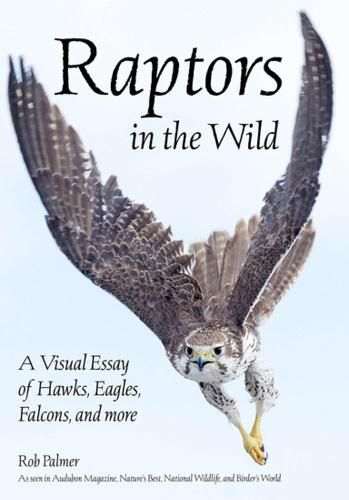 Raptors In The Wild: A Visual Essay of Hawks, Eagles, Falcons, and more.