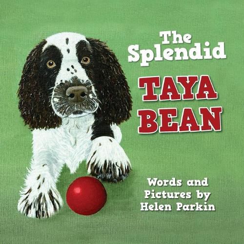 Cover image for The Splendid Taya Bean