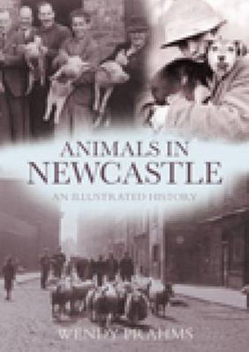 Cover image for Animals in Newcastle: An Illustrated History