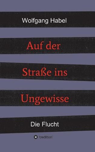 Cover image for Auf der Strasse ins Ungewisse