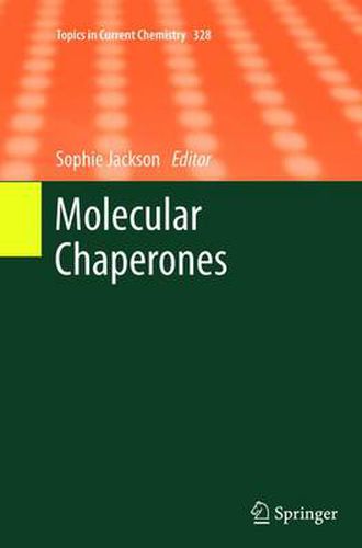 Cover image for Molecular Chaperones