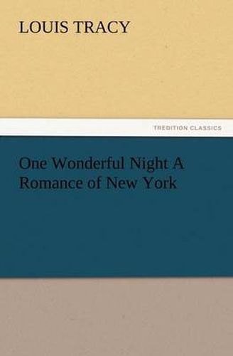 Cover image for One Wonderful Night a Romance of New York