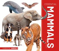 Cover image for Essential Mammals