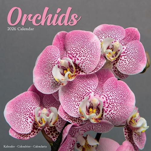 Cover image for Orchids Calendar 2026 Square Flowers Wall Calendar - 16 Month