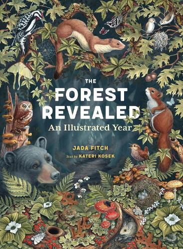 Cover image for The Forest Revealed