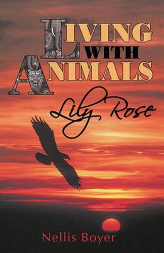 Cover image for Lily Rose