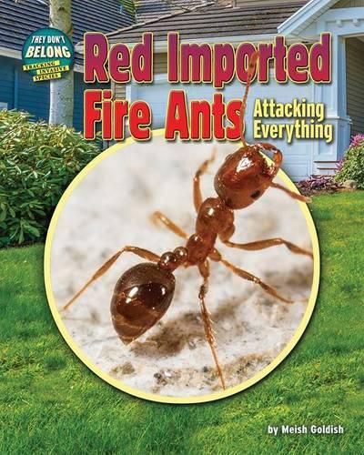 Cover image for Red Imported Fire Ants: Attacking Everything