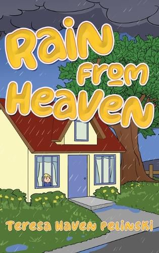 Cover image for Rain From Heaven