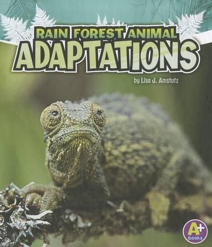 Cover image for Rain Forest Animal Adaptations