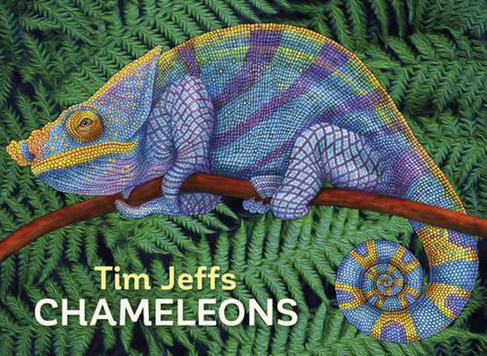 Cover image for Tim Jeffs Chameleons Boxed Notecards