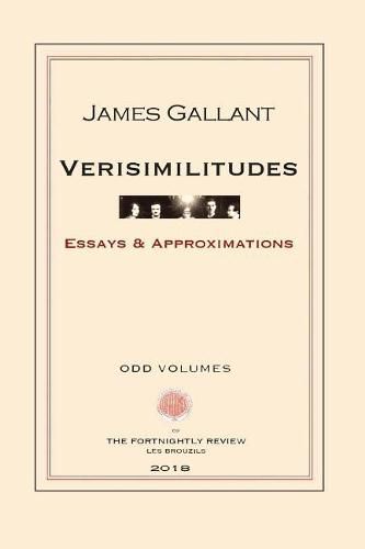 Cover image for Verisimilitudes: Essays and Approximations