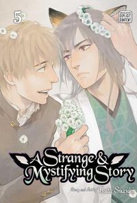 Cover image for A Strange & Mystifying Story, Vol. 5