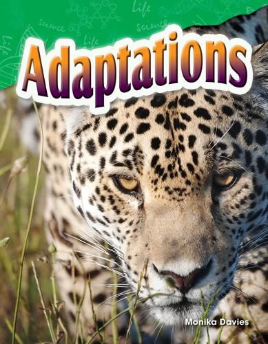 Cover image for Adaptations