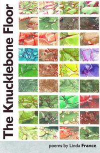 Cover image for The Knucklebone Floor