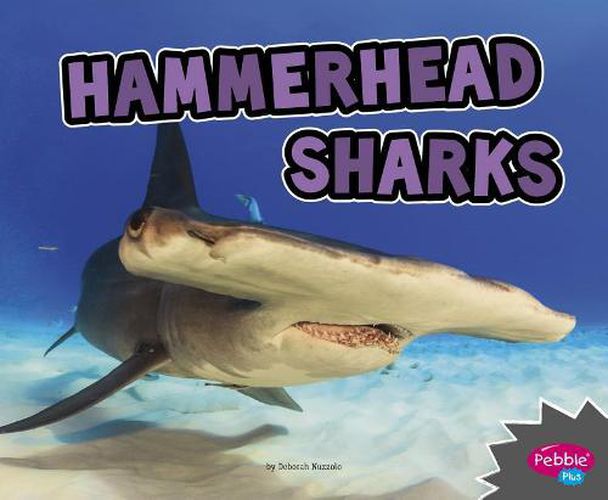 Cover image for Hammerhead Sharks (All About Sharks)