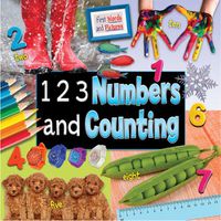 Cover image for 1 2 3 Numbers and Counting: First Words and Pictures