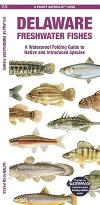 Cover image for Delaware Freshwater Fishes