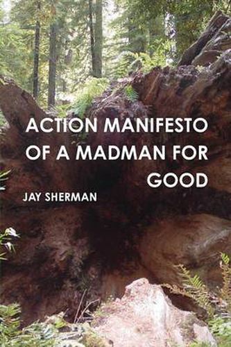 Cover image for Action Manifesto of a Madman for Good