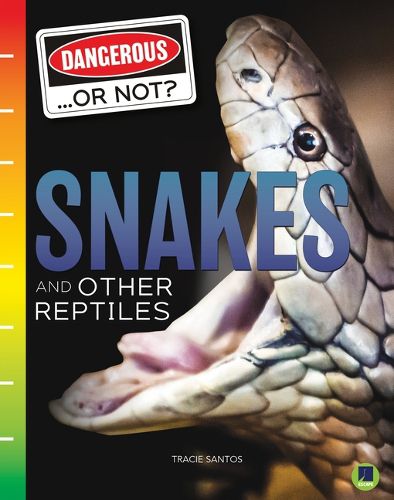 Cover image for Snakes and Other Reptiles