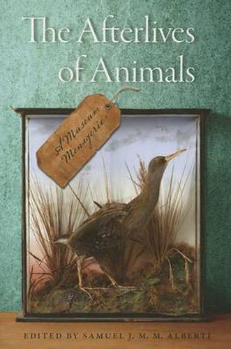 Cover image for The Afterlives of Animals: A Museum Menagerie