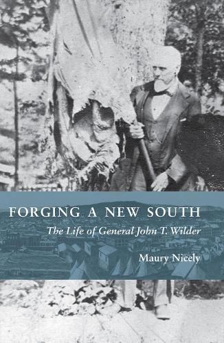 Cover image for Forging a New South