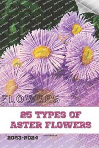 Cover image for 25 Types of Aster Flowers