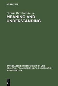 Cover image for Meaning and Understanding
