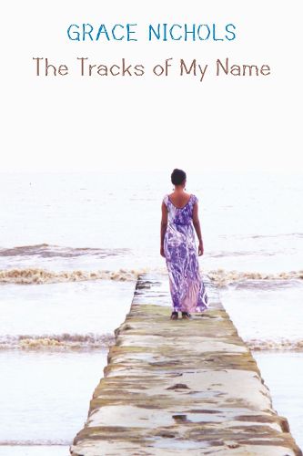 Cover image for The Tracks of My Name