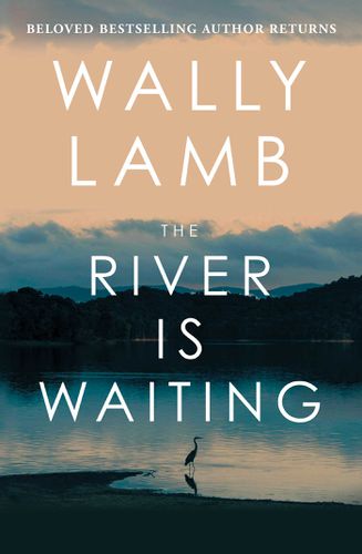 Cover image for The River Is Waiting 