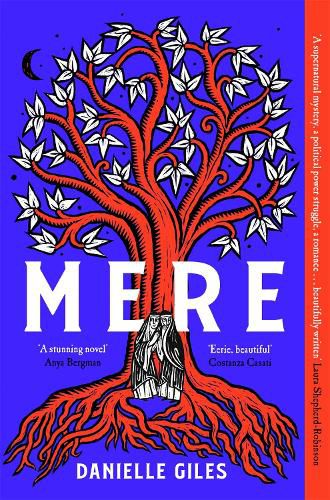 Cover image for Mere