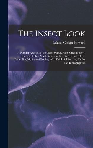 Cover image for The Insect Book