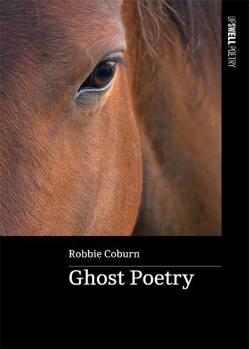 Cover image for Ghost Poetry