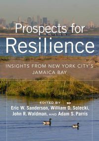 Cover image for Prospects for Resilience: Insight from New York City's Jamaica Bay