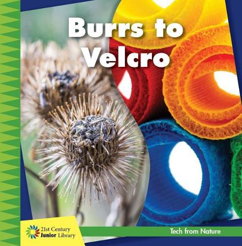 Cover image for Burrs to Velcro