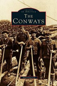 Cover image for Conways