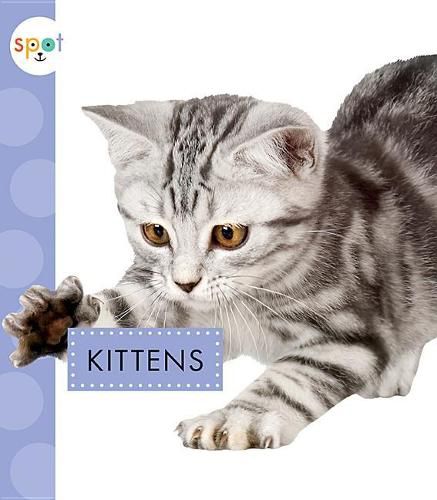 Cover image for Kittens