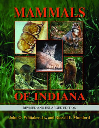 Cover image for Mammals of Indiana, Revised and Enlarged Edition