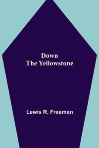 Cover image for Down the Yellowstone