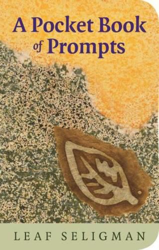 Cover image for Pocket Book of Prompts