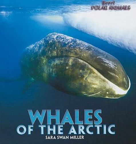 Whales of the Arctic