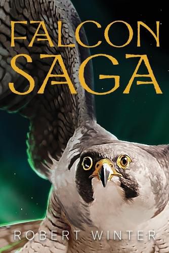 Cover image for Falconsaga