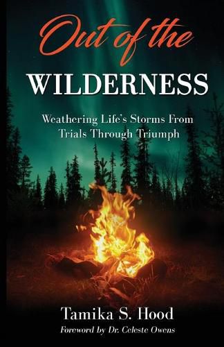 Cover image for Out Of The Wilderness: Weathering Life's Storms From Trials Through Triumph