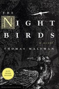 Cover image for The Night Birds