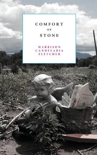 Cover image for Comfort of Stone