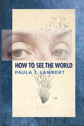 Cover image for How to See the World: Poems