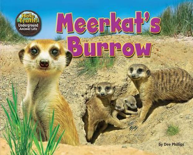 Meerkat's Burrow